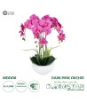 GloboStar® Artificial Garden DARK PINK ORCHID 21123 Διακοσμητικό Φυτό Φούξια Ορχιδέα Υ50cm